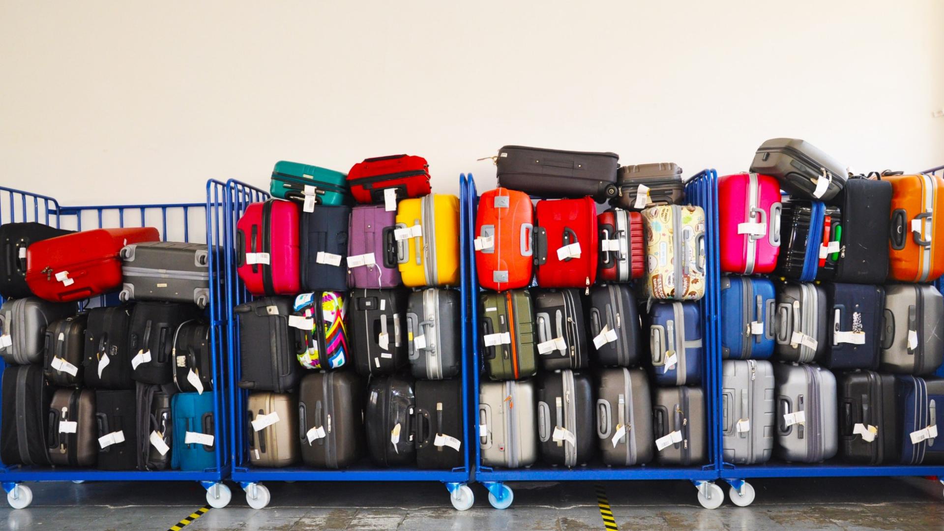 Eine Vielzahl bunter, verschieden farbiger Koffer in großen Wagen vor einer Wand