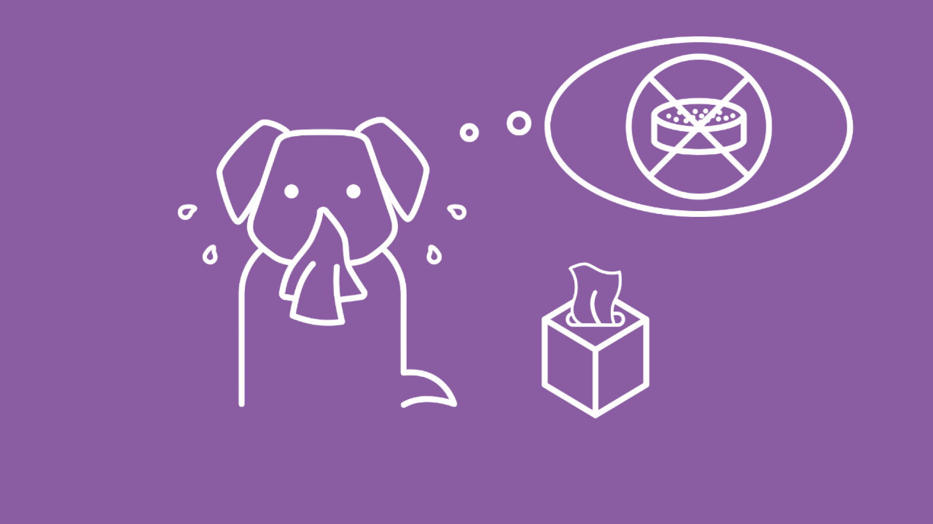 Die Grafik zeigt einen Hund mit laufender Nase und tränenden Augen neben einer Box mit Taschentüchern und einer Gedankenblase mit einer durchgestrichenen Futterdose. 