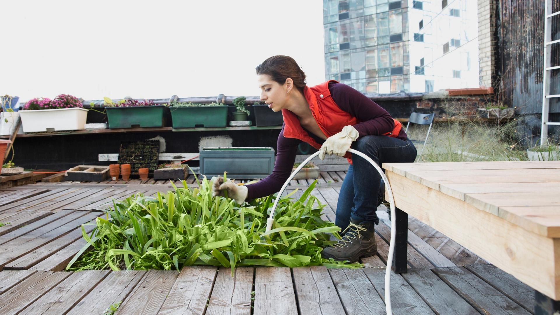 Eine Frau bewässert Pflanzen auf einer Dachterasse