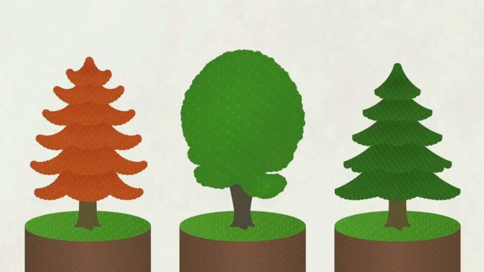 Wald ist mehr als die Summe seiner Bäume. Er schütz Leben, Hab und Gut vieler Menschen.