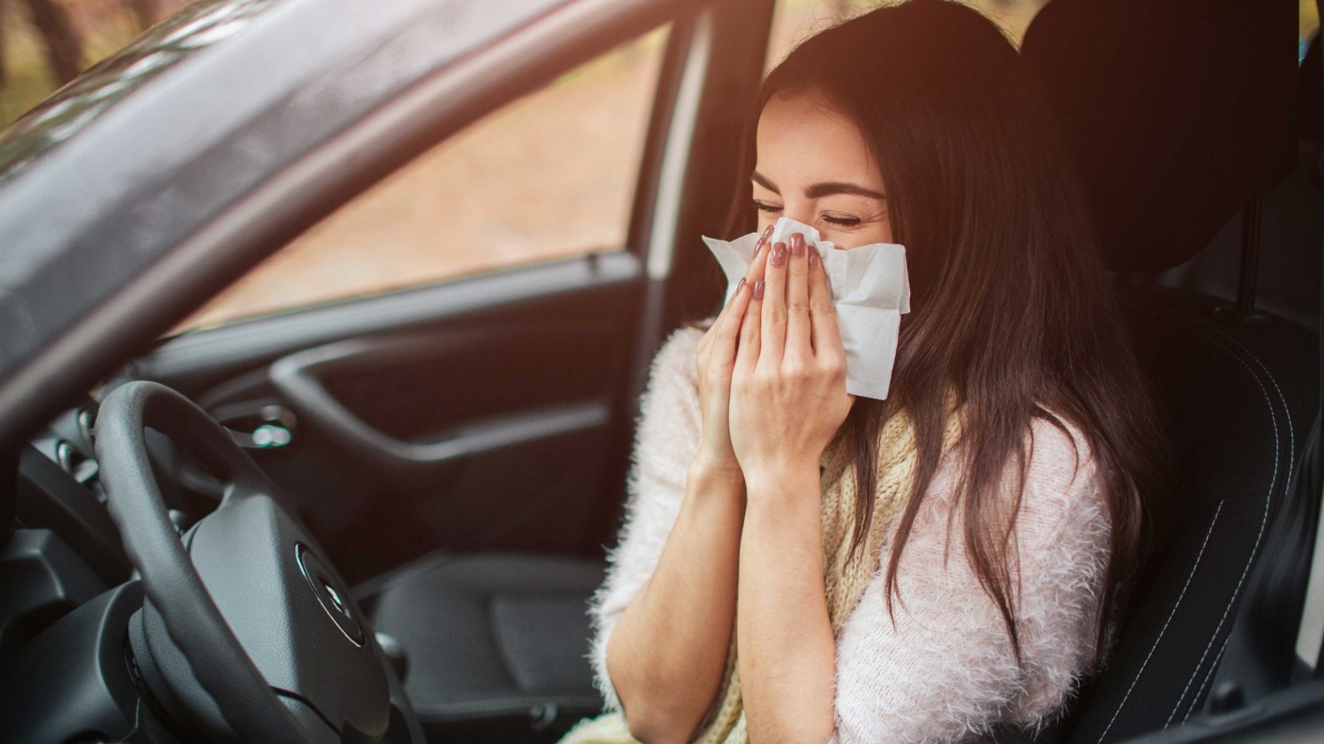 Pollensaison: gefährliche Niesattacken beim Autofahren