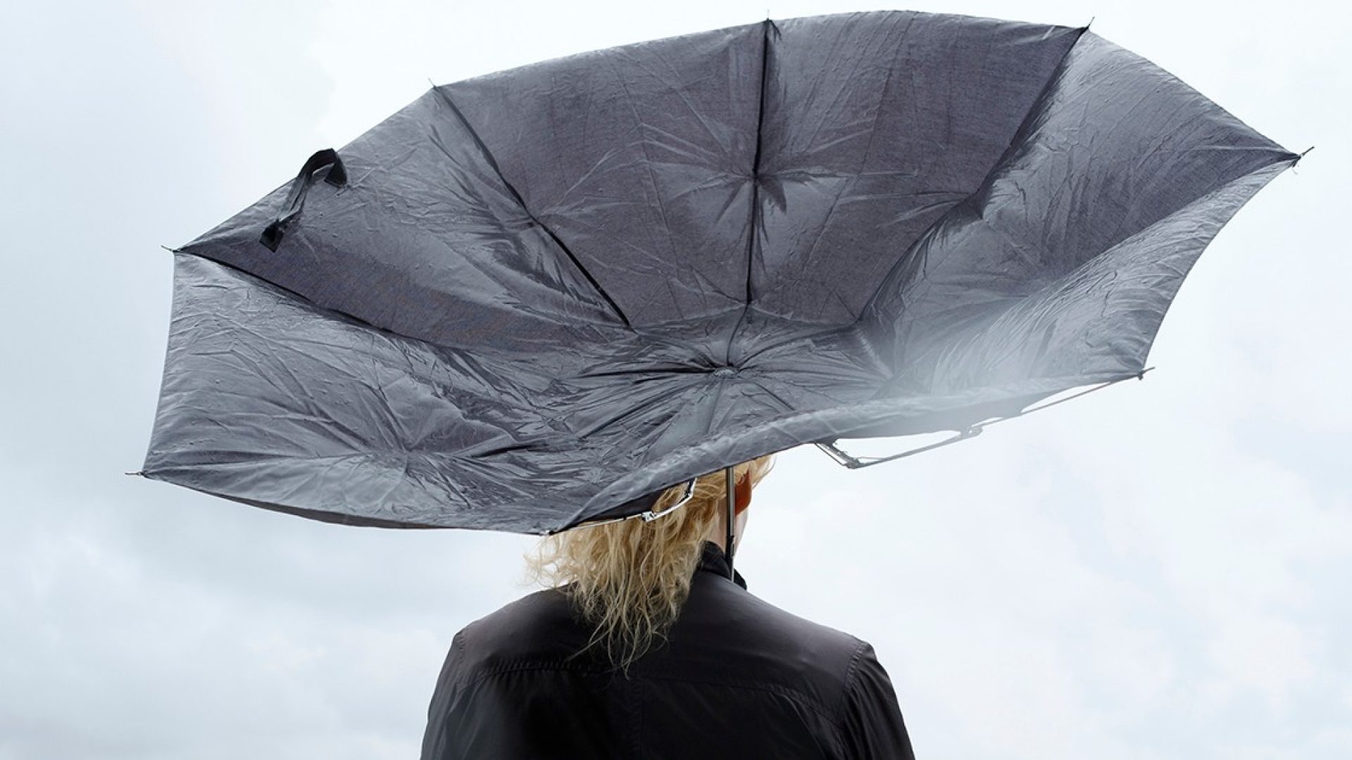 Woman under black umbrella watching Baltic Sea