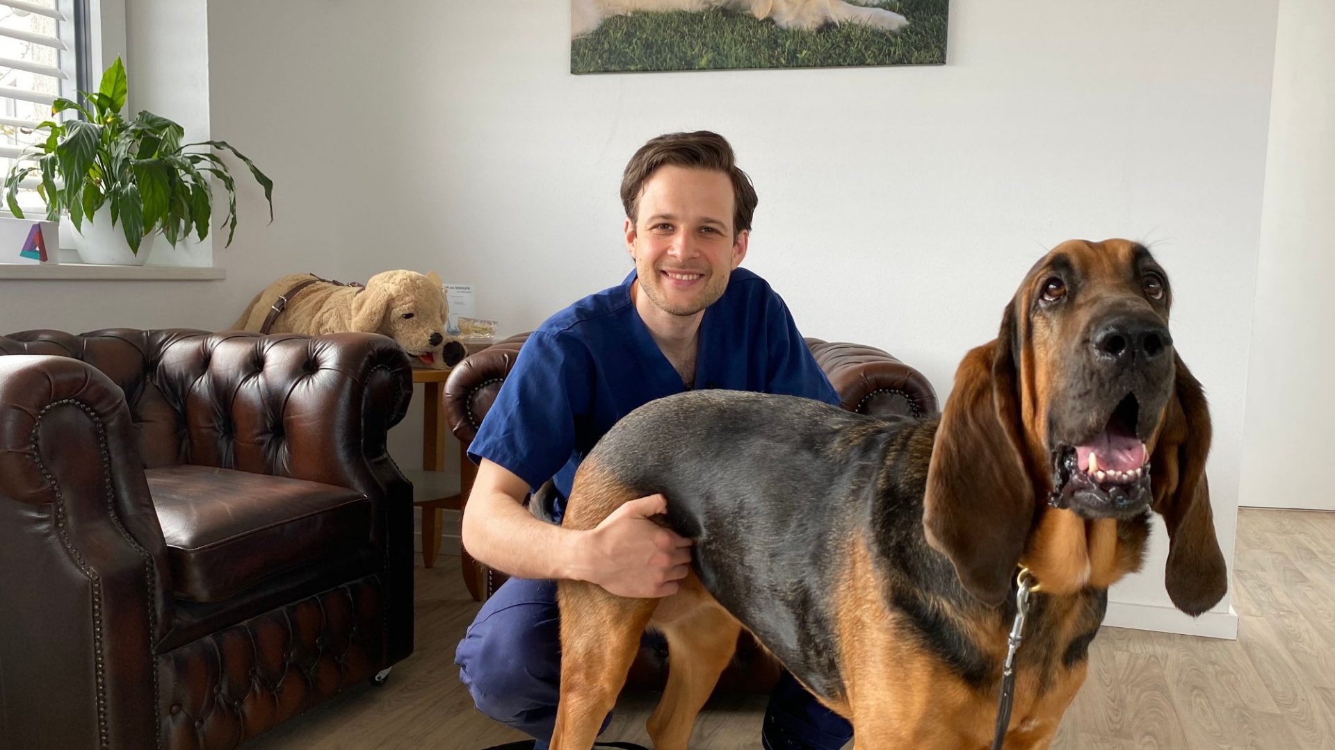 Helvetia VetTalks: Tierarzt Matthias Dourakas über die Vorsorgeuntersuchung beim Hund