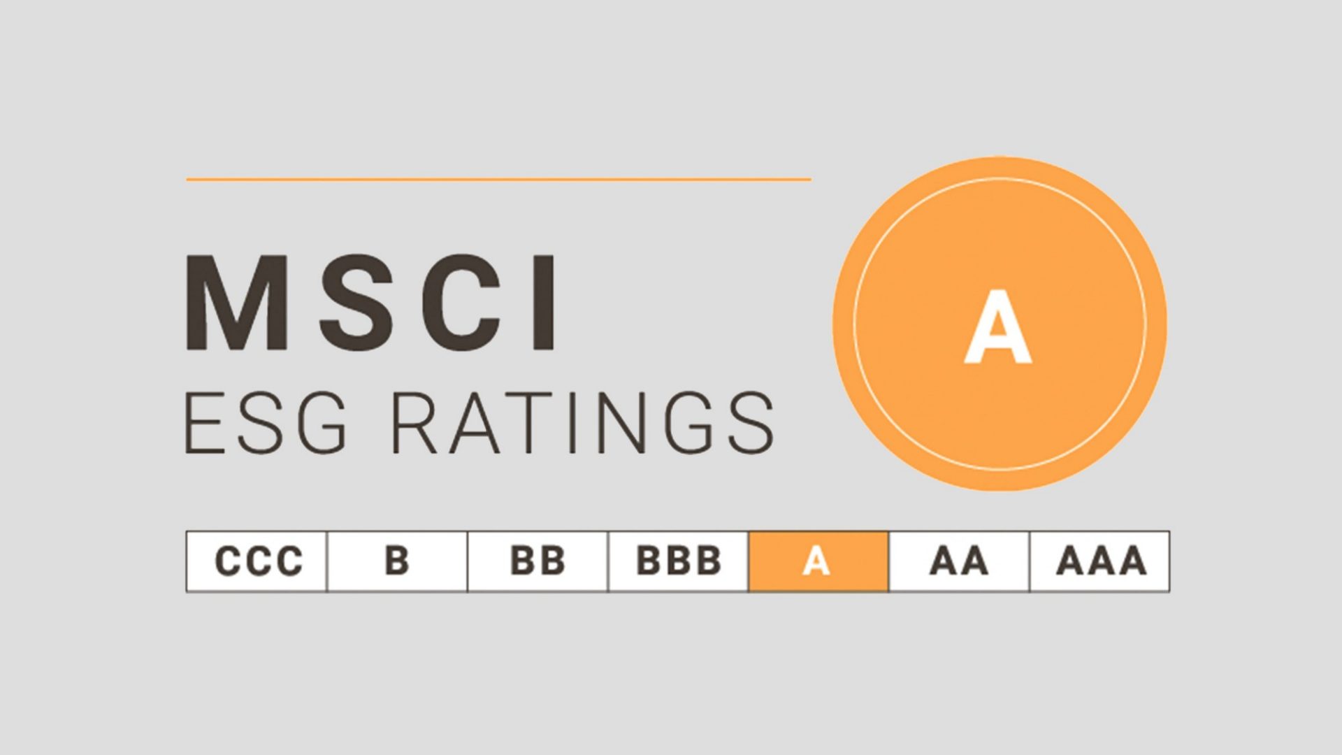 MSCI Ratings