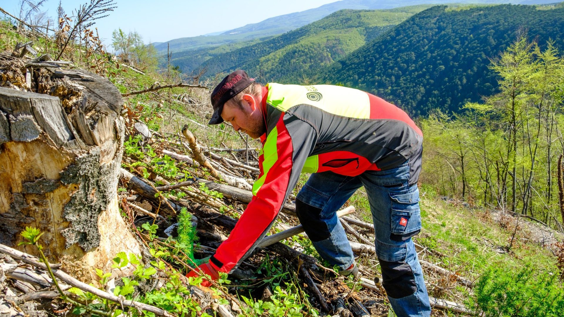 Auch beim Schutzwaldprojekt 2018 in den Wiener Alpen pflanzen Forstfacharbeiter die jungen Bäume von Hand.