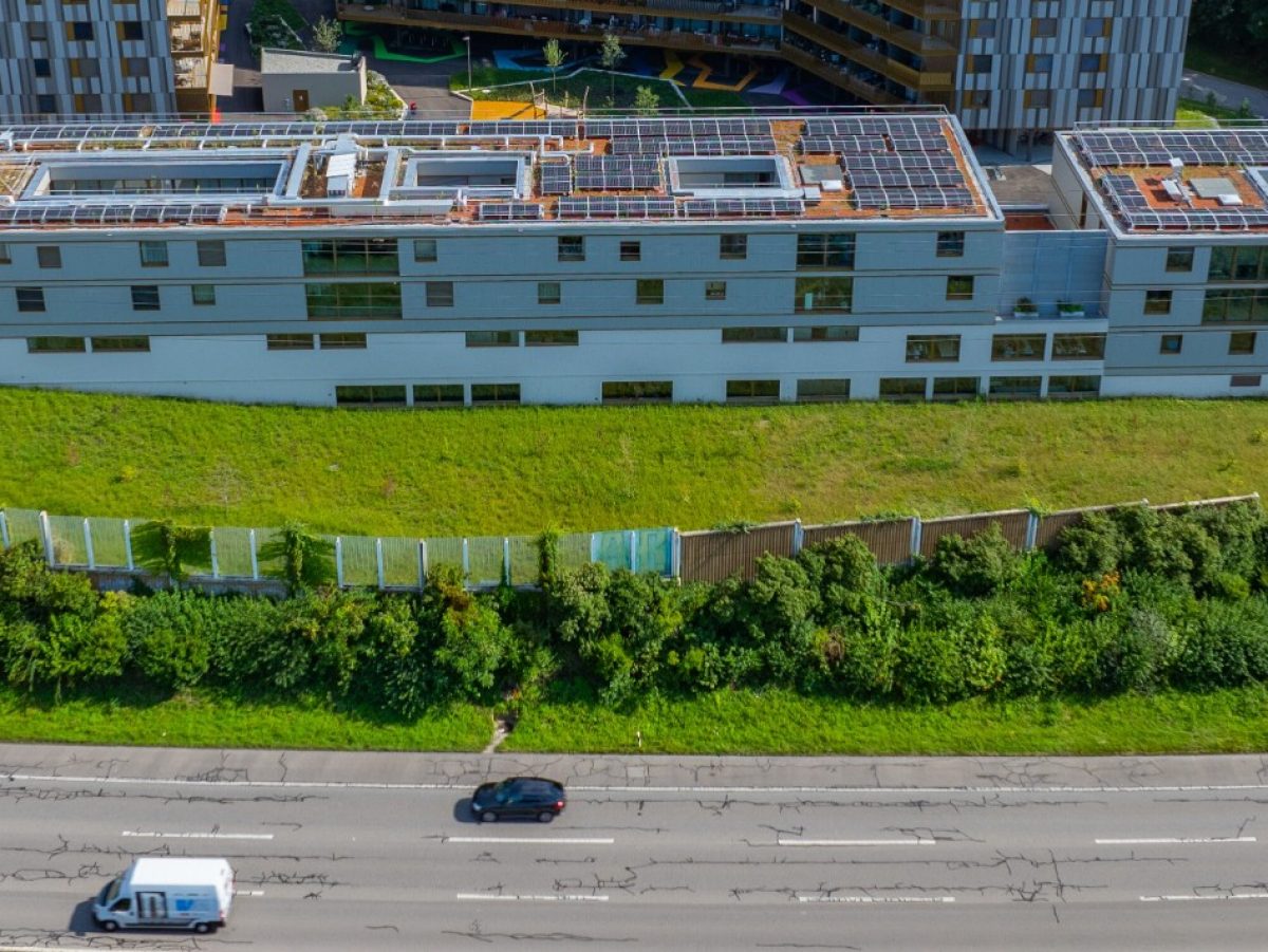 28564 - Renens_Bourse aux fleurs