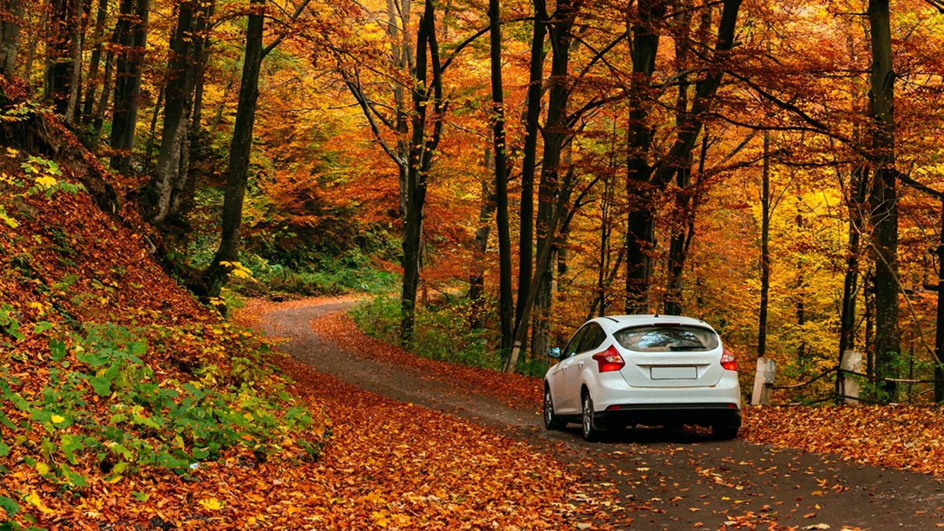 herbsttipps-auto