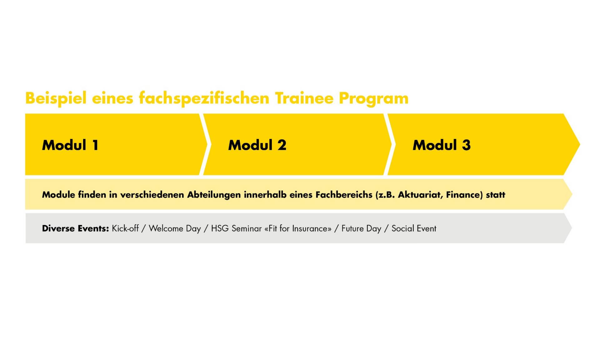 Modell ITP fachspezifisch