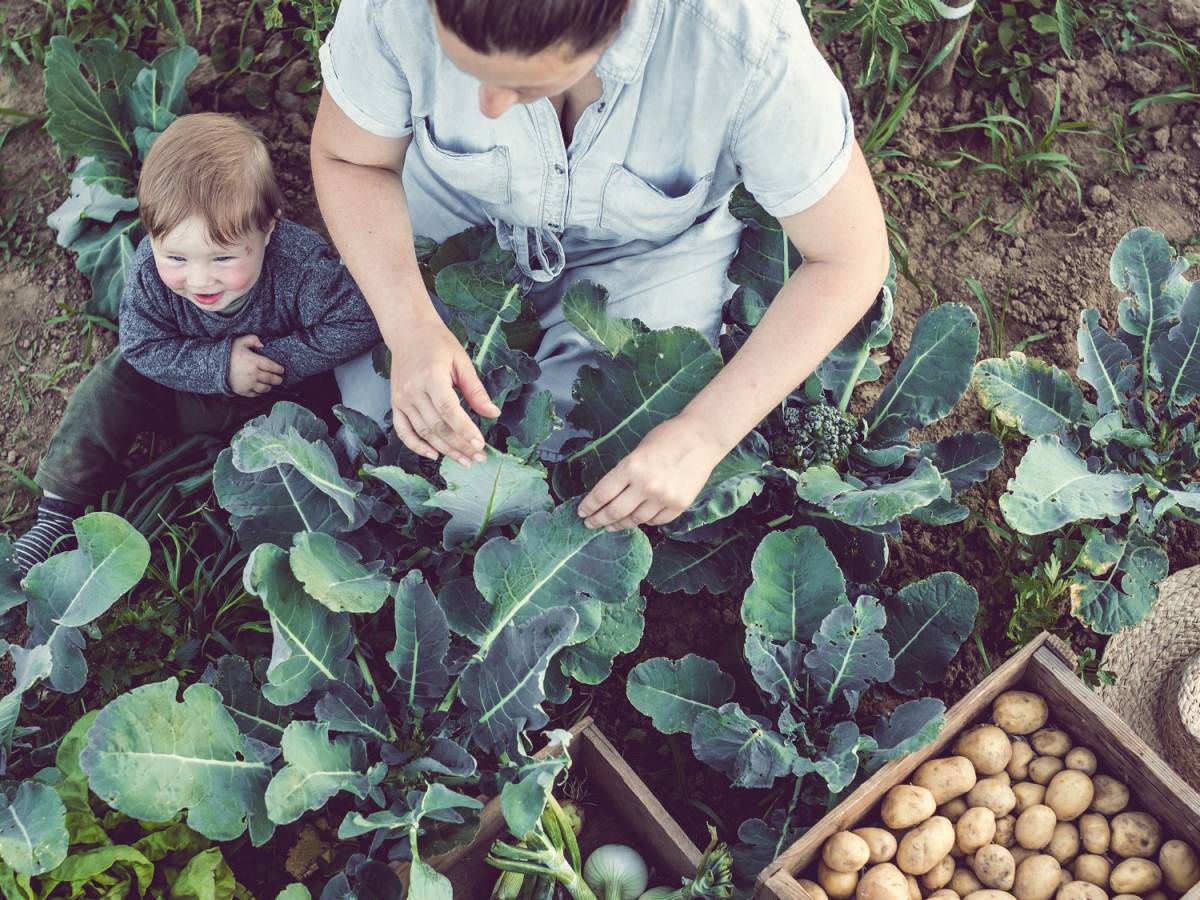 helvetia-cr-nachhaltige-versicherung-3