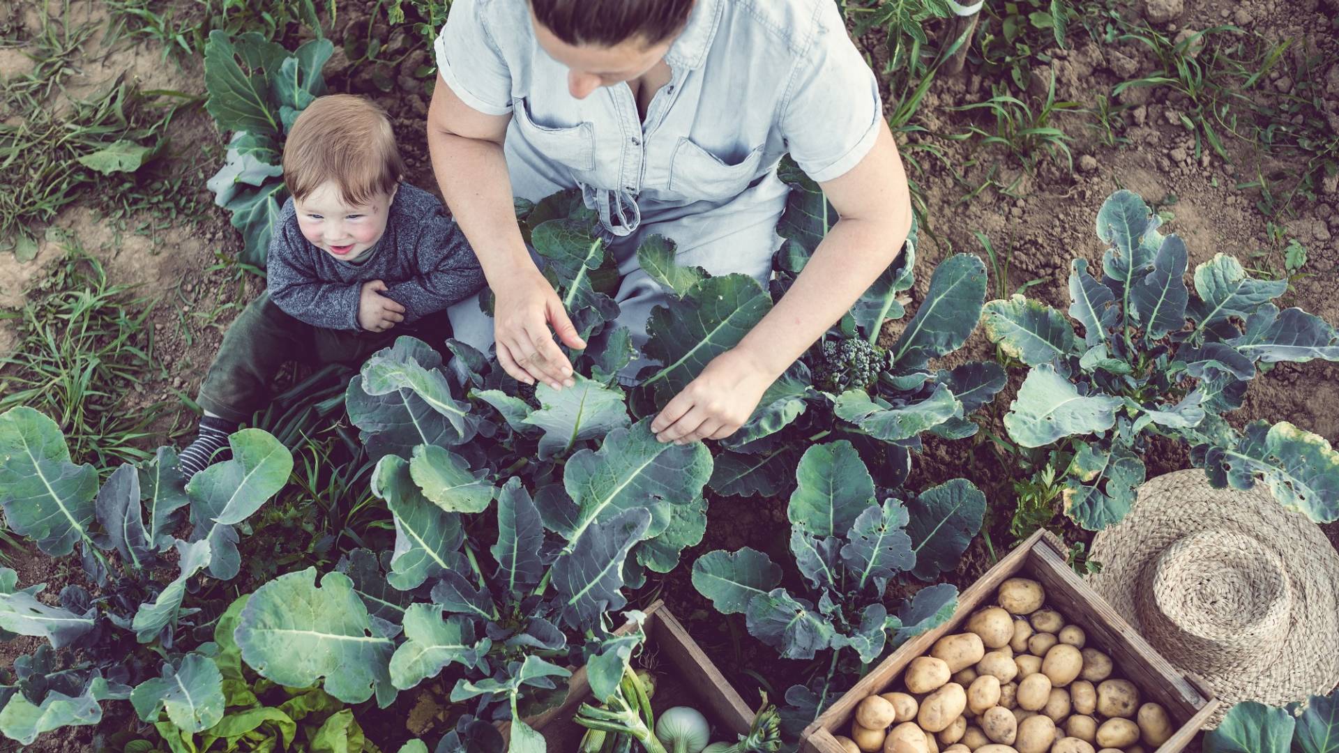 helvetia-cr-nachhaltige-versicherung-3