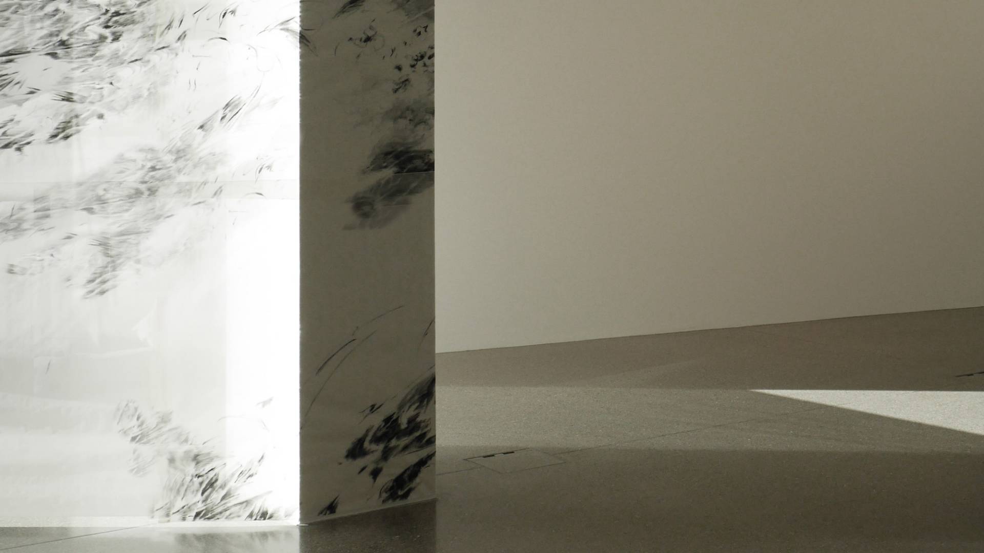 Borrowed Light – Julia Steiner