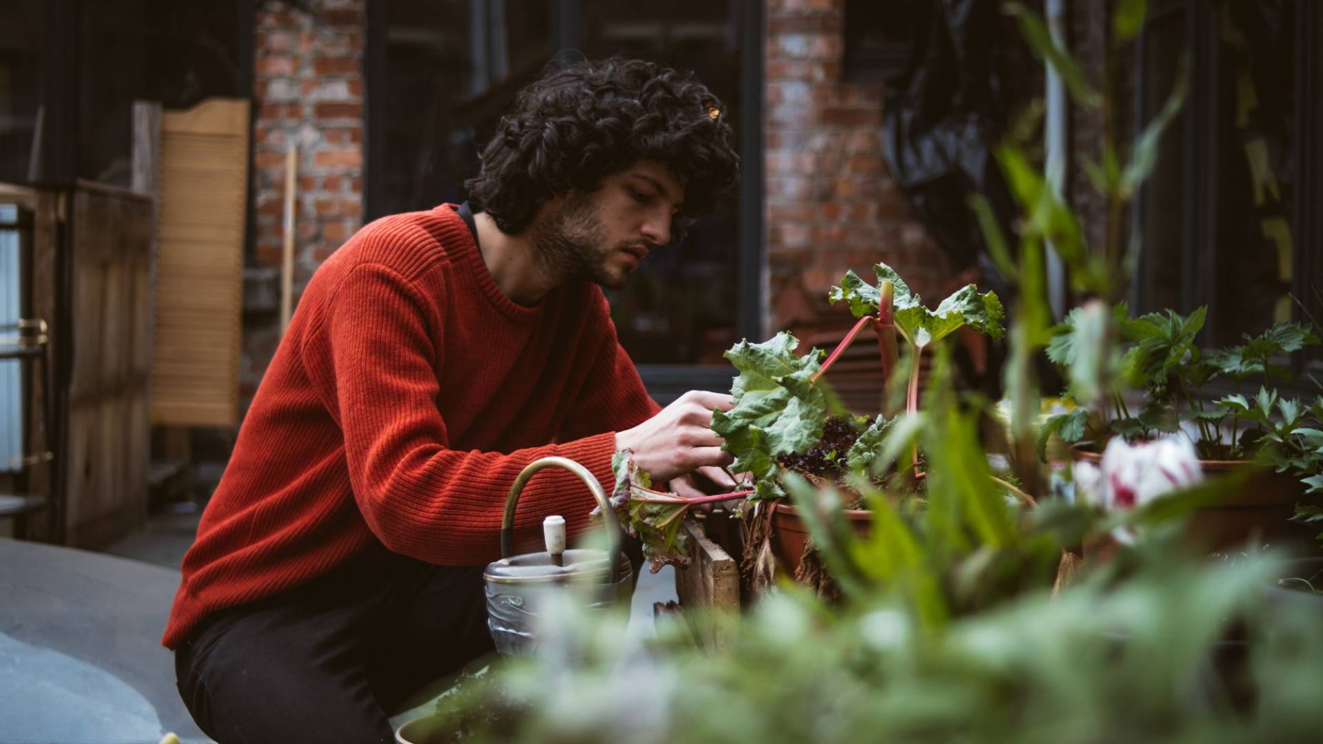 Auf der Dachterasse: Andriu Deplazes kniet neben unzähligen Töpfen, die er mit Salat, Gemüse und Kräutern bepflanzt hat.