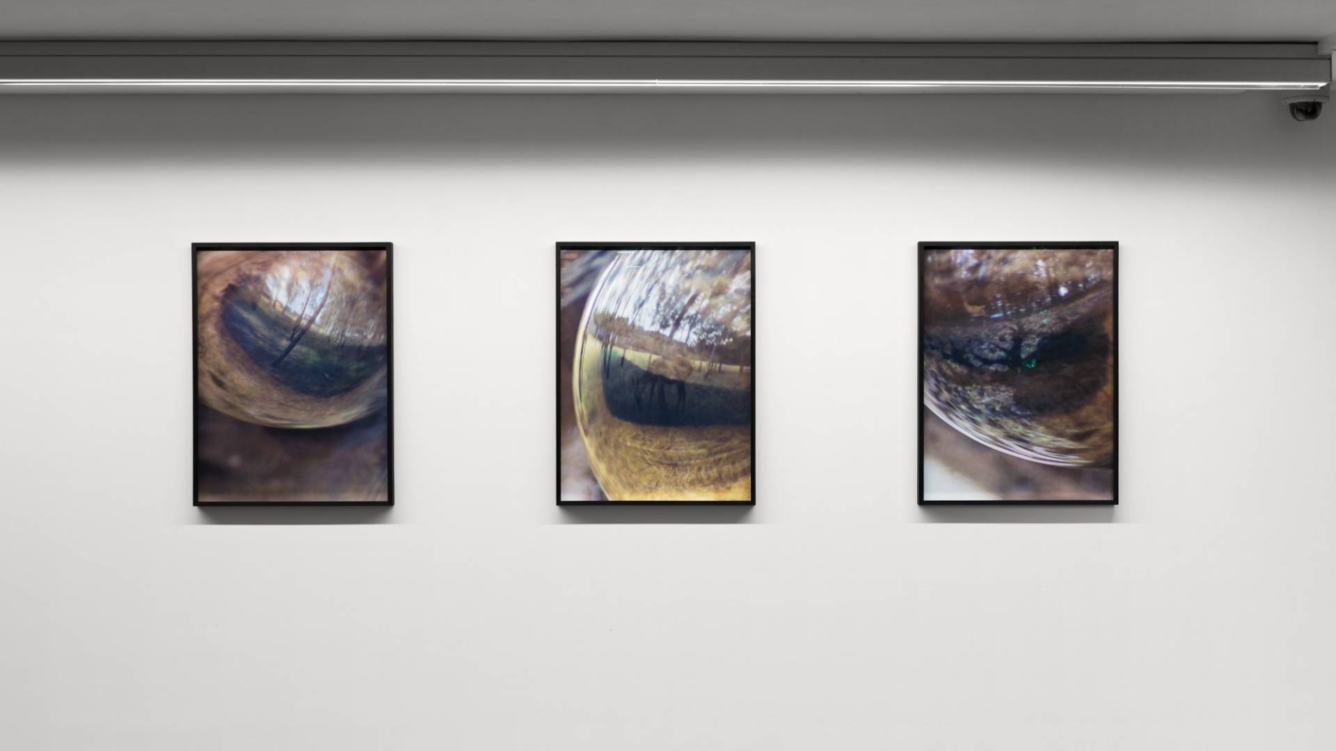 Julian Charrière/Julius von Bismarck, «objects in the mirror might be closer than they appear», 2016