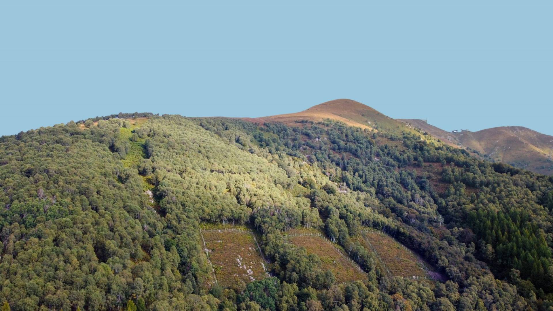 helvetia-schutzwald-novaggio