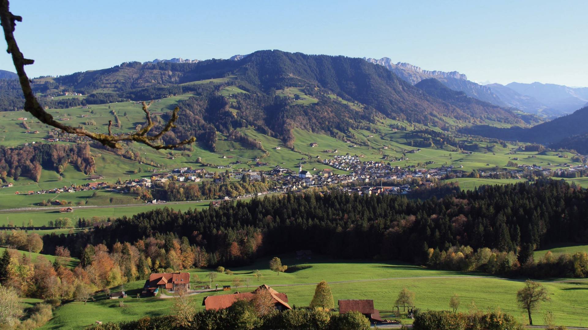 helvetia-schutzwald-luzern