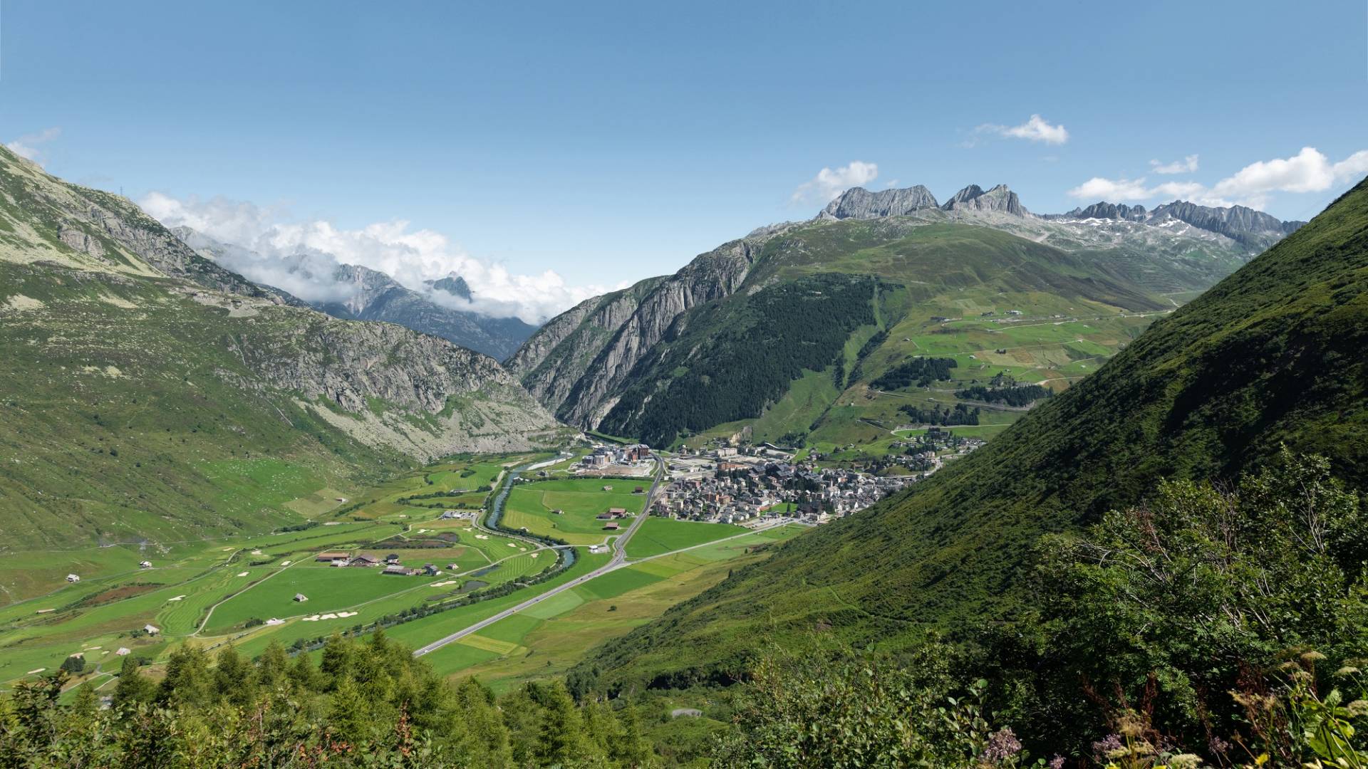 helvetia-schutzwald-uri-ii.jpg