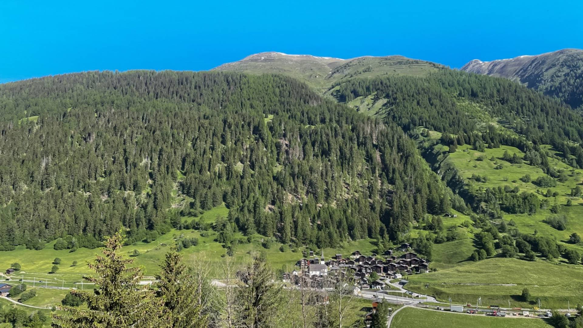 helvetia-schutzwald-goms
