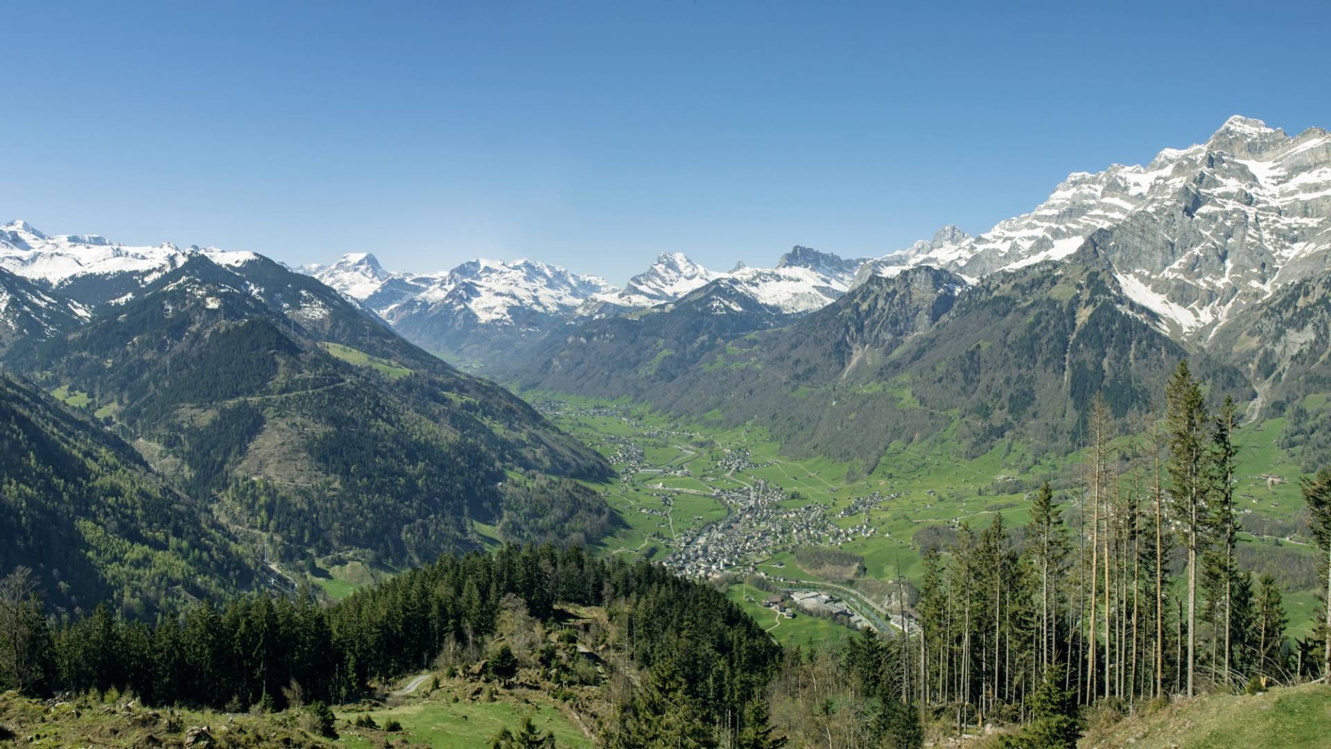 helvetia-schutzwald-glarus