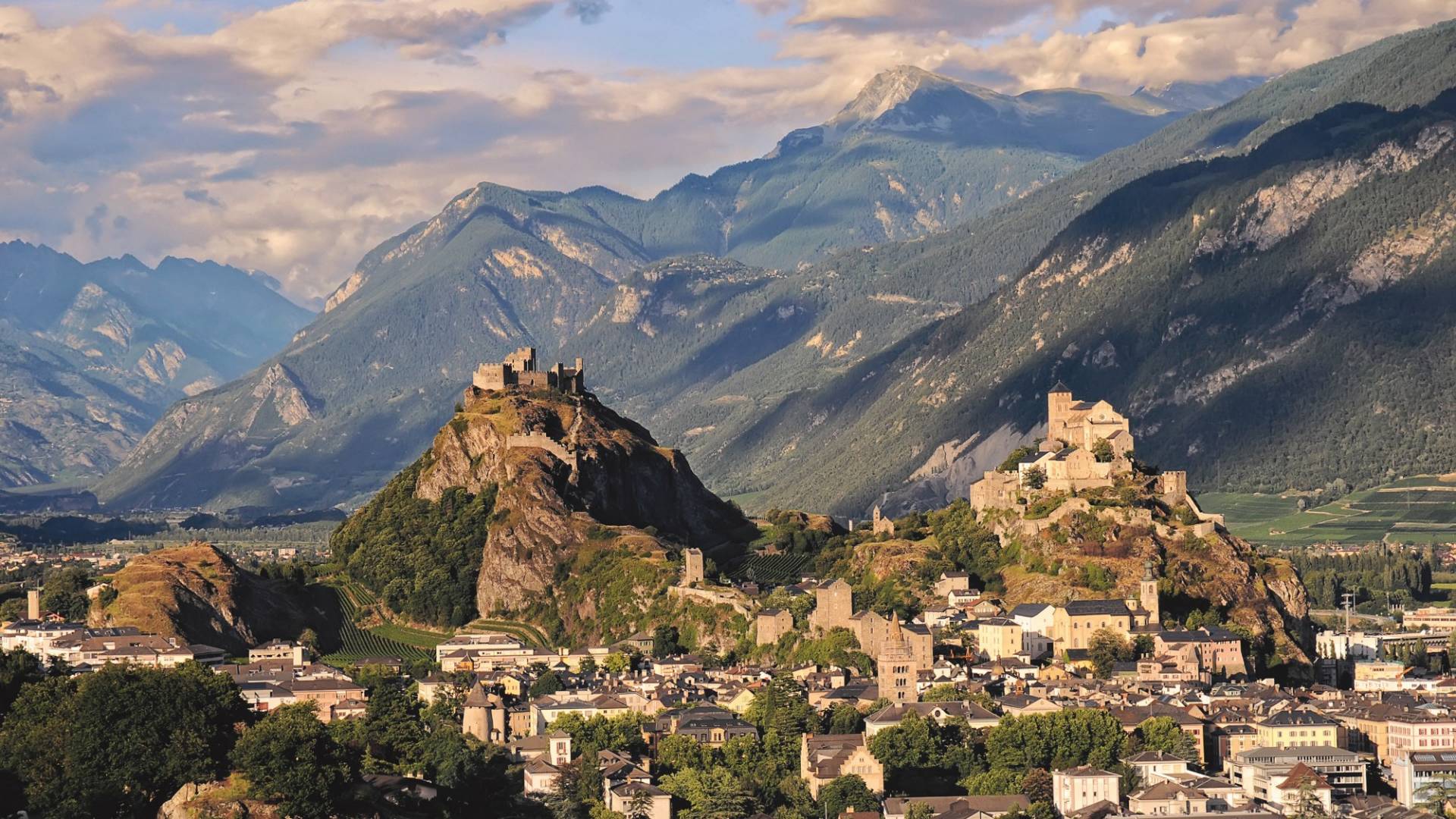 helvetia-schutzwald-zentralwallis