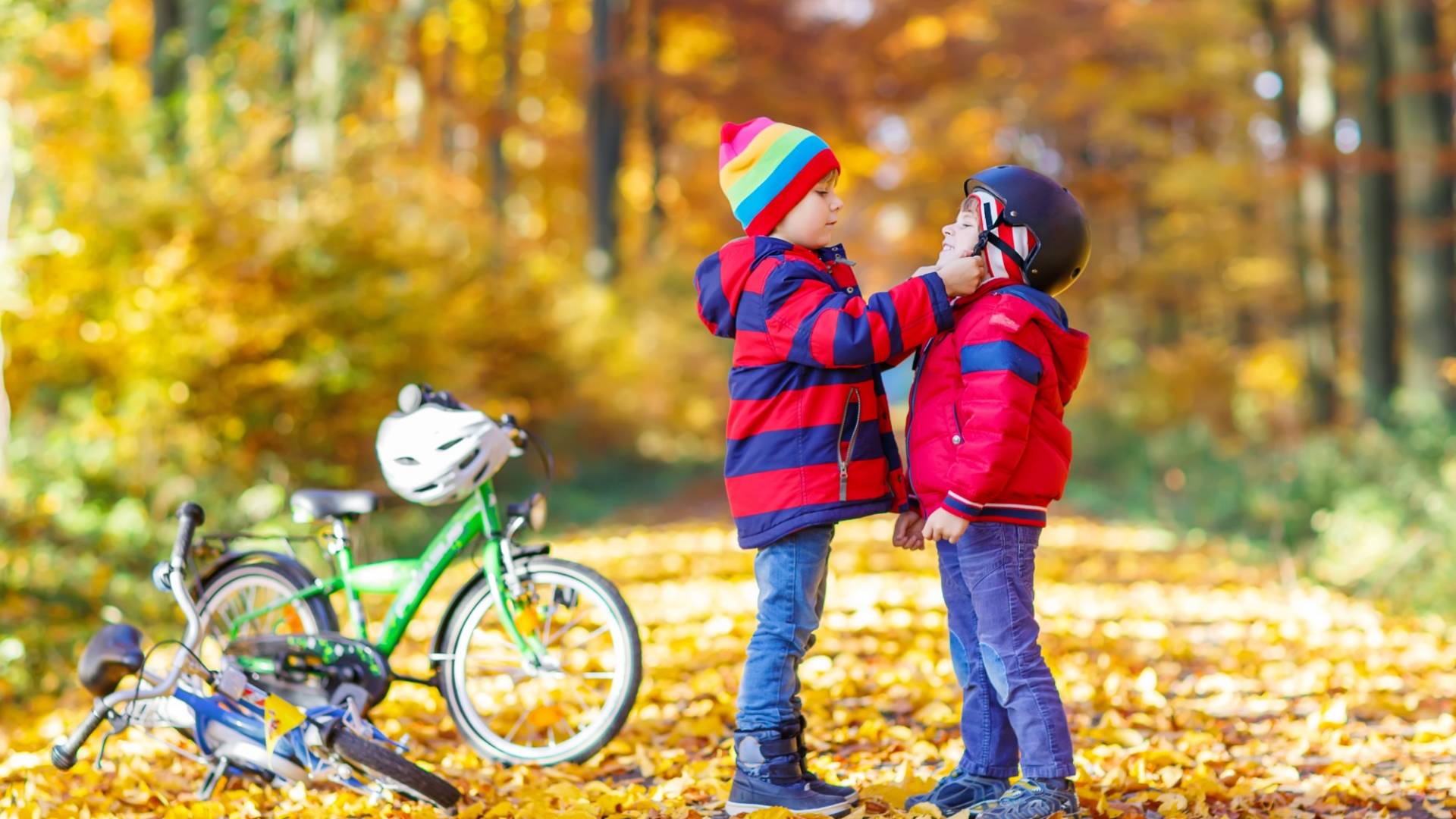Two little kid boys with bicycles in autumn park