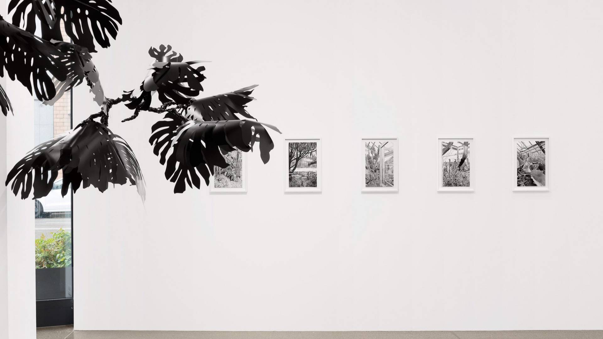 C'est le jardin botanique de Bâle qui a inspiré au jeune artiste bâlois Tobias Nussbaumer une série de dessins.