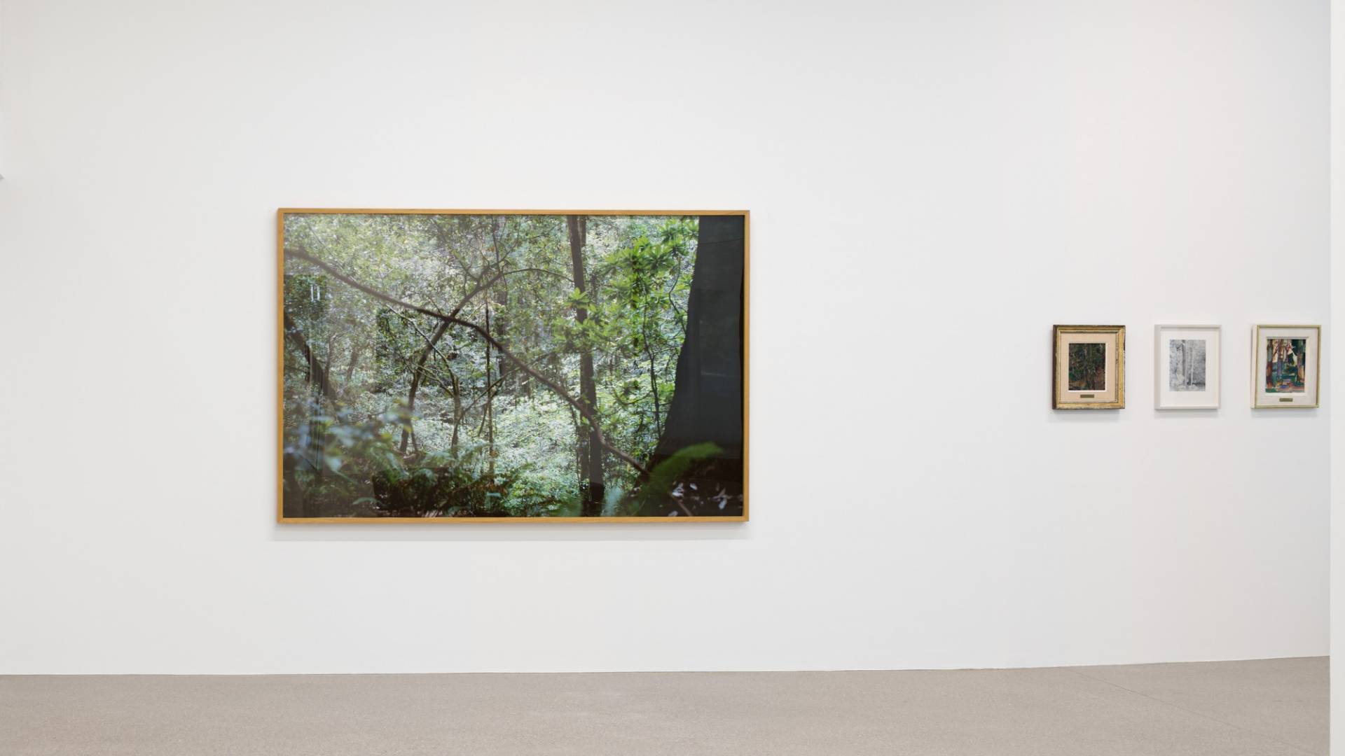 Claudio Moser, «Howland Hill», 2001