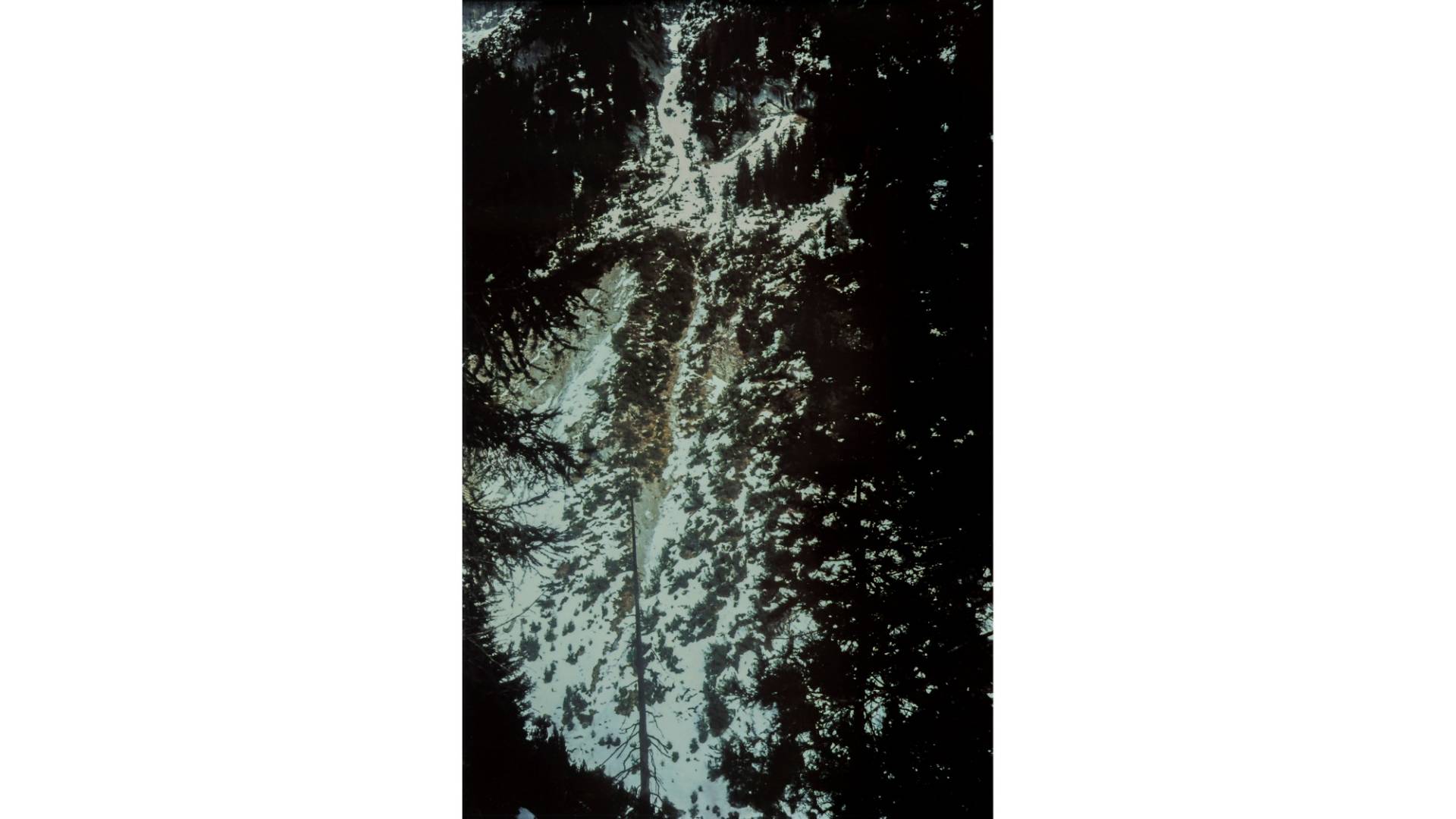 Gaudenz Signorell, «Freude am Unsinn», 2010