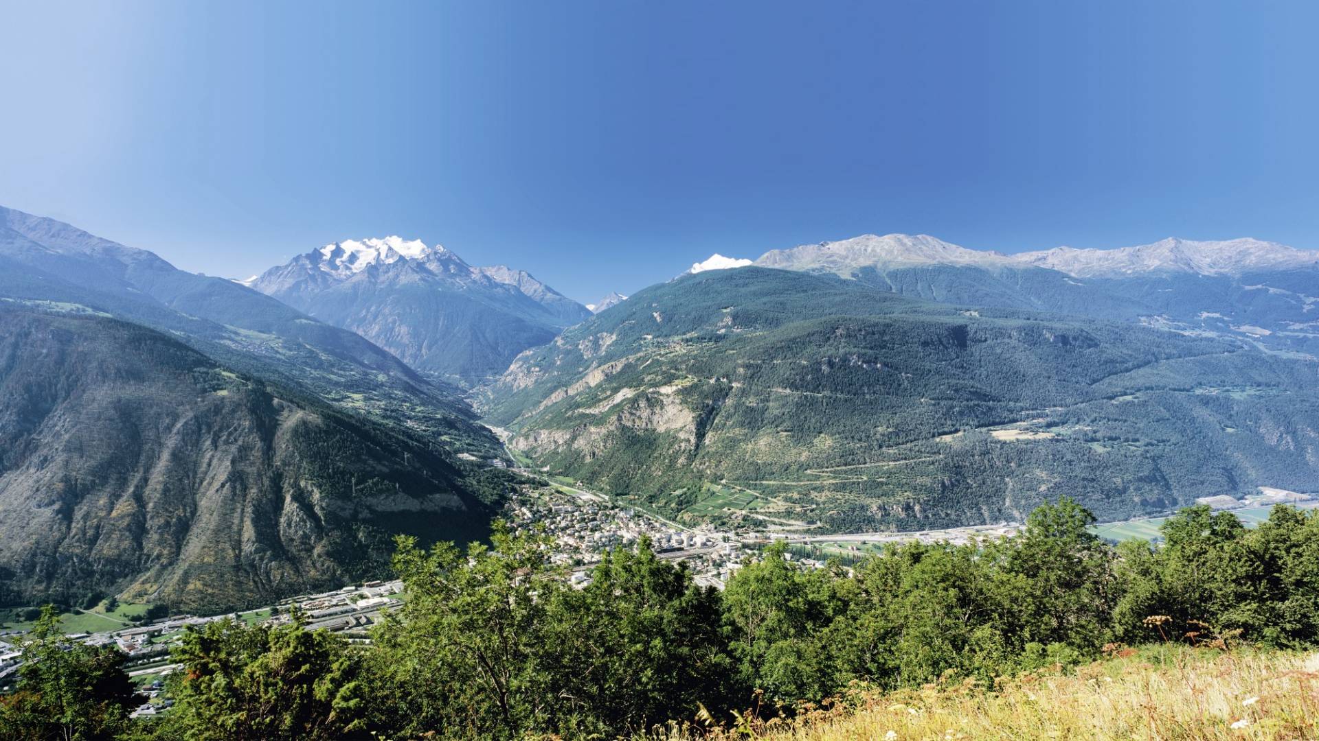 helvetia-schutzwald-visp
