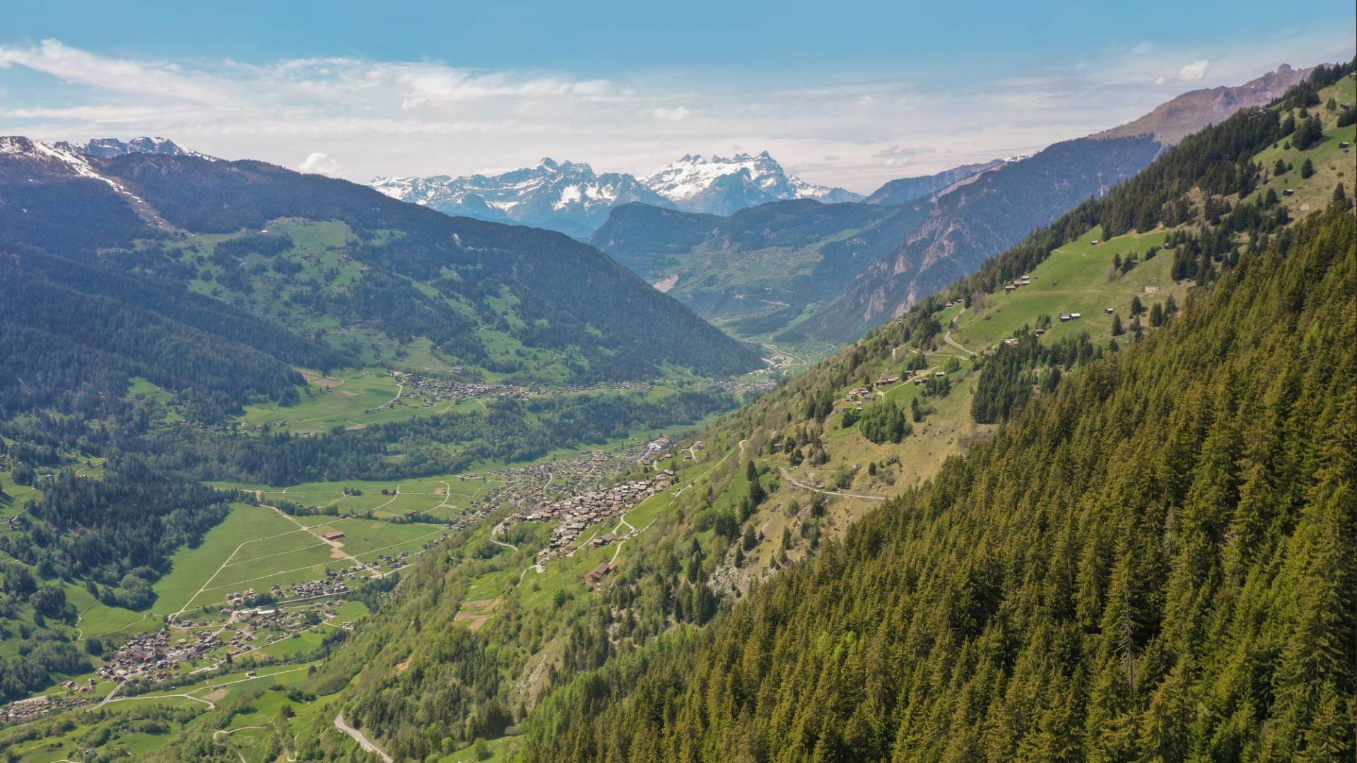 helvetia-schutzwald-unterwallis