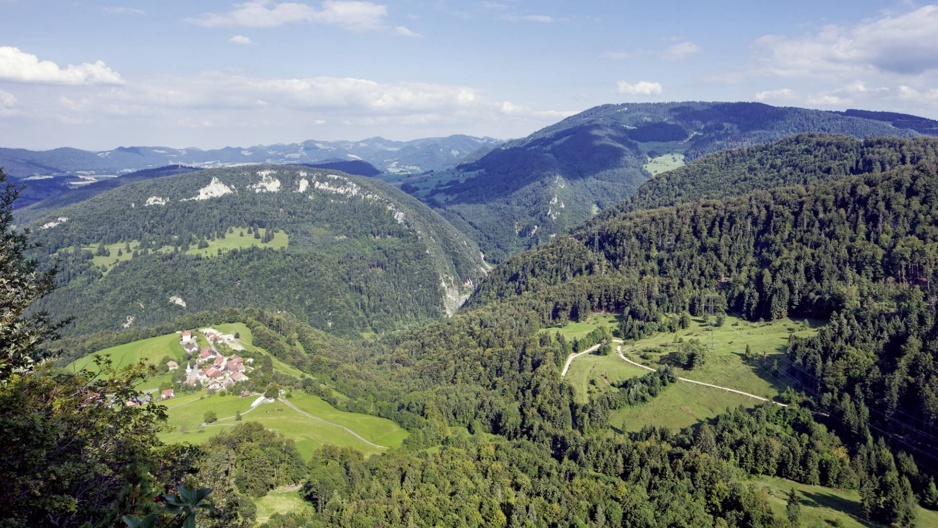 helvetia-schutzwald-jura