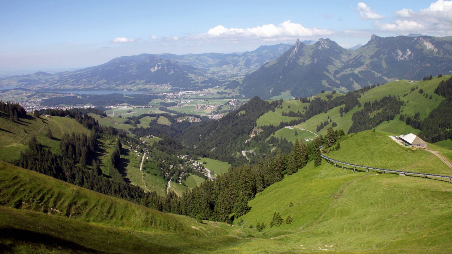 helvetia-schutzwald-fribourg