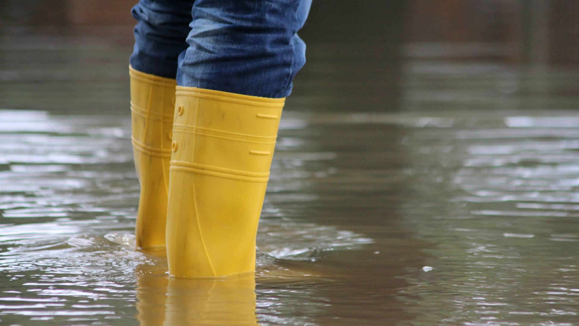 hochwasser