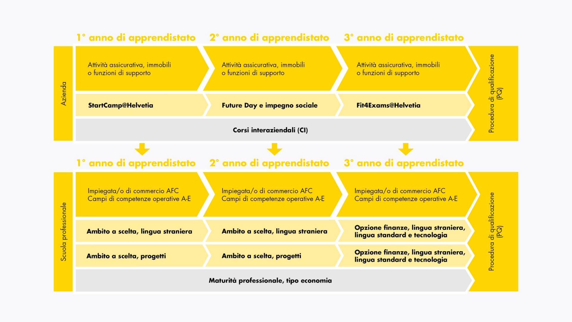 Modello formazione impiegato di commercio