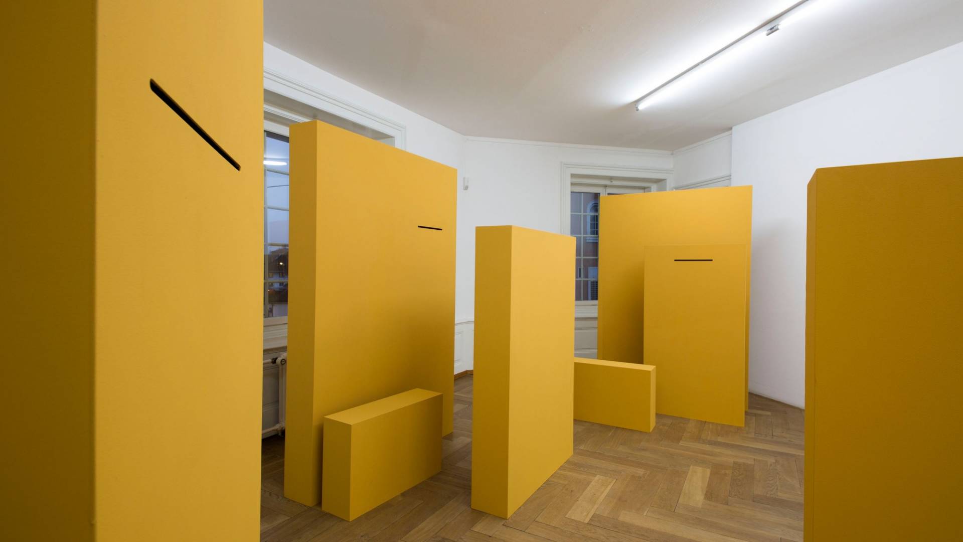 Gina Proenza – Art Visuels