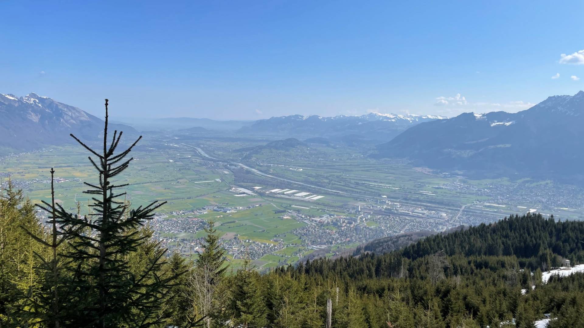 helvetia-schutzwald-rheintal-sg-2.jpg