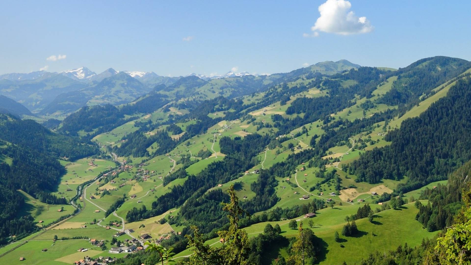 helvetia-schutzwald-berner-oberland-ii.jpg