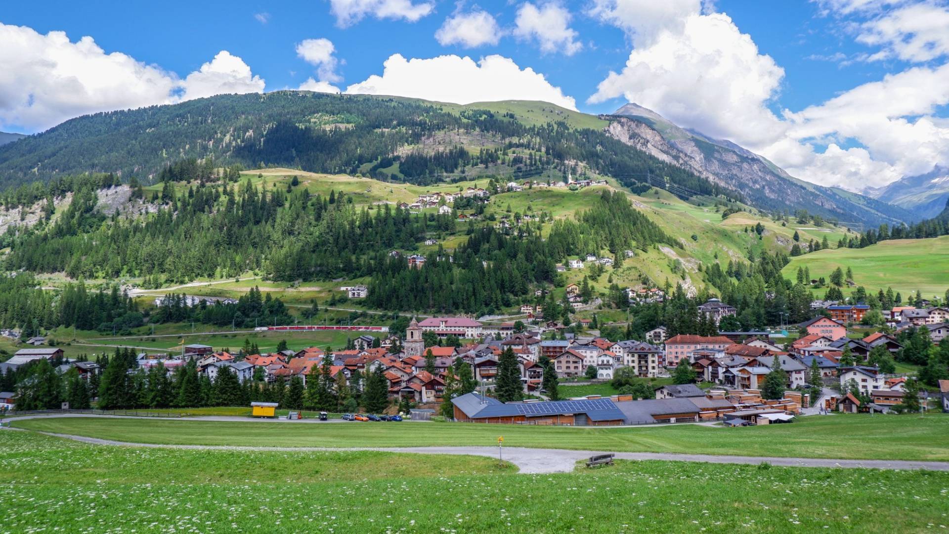 helvetia-schutzwald-berguen
