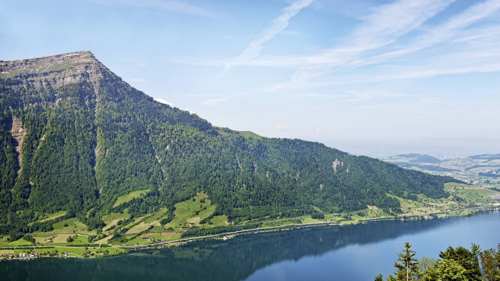 helvetia-schutzwald-rigi
