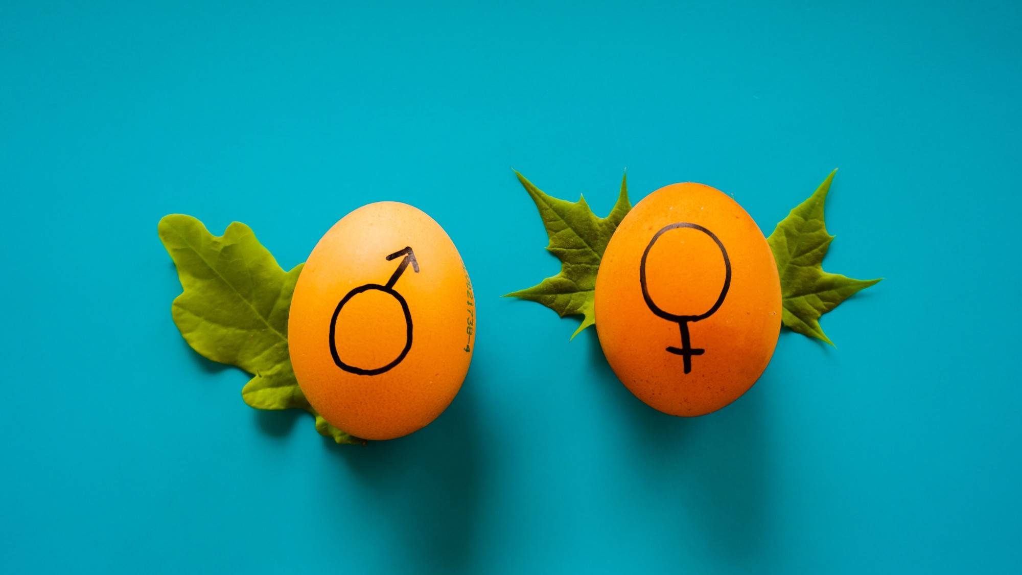 bias-gender