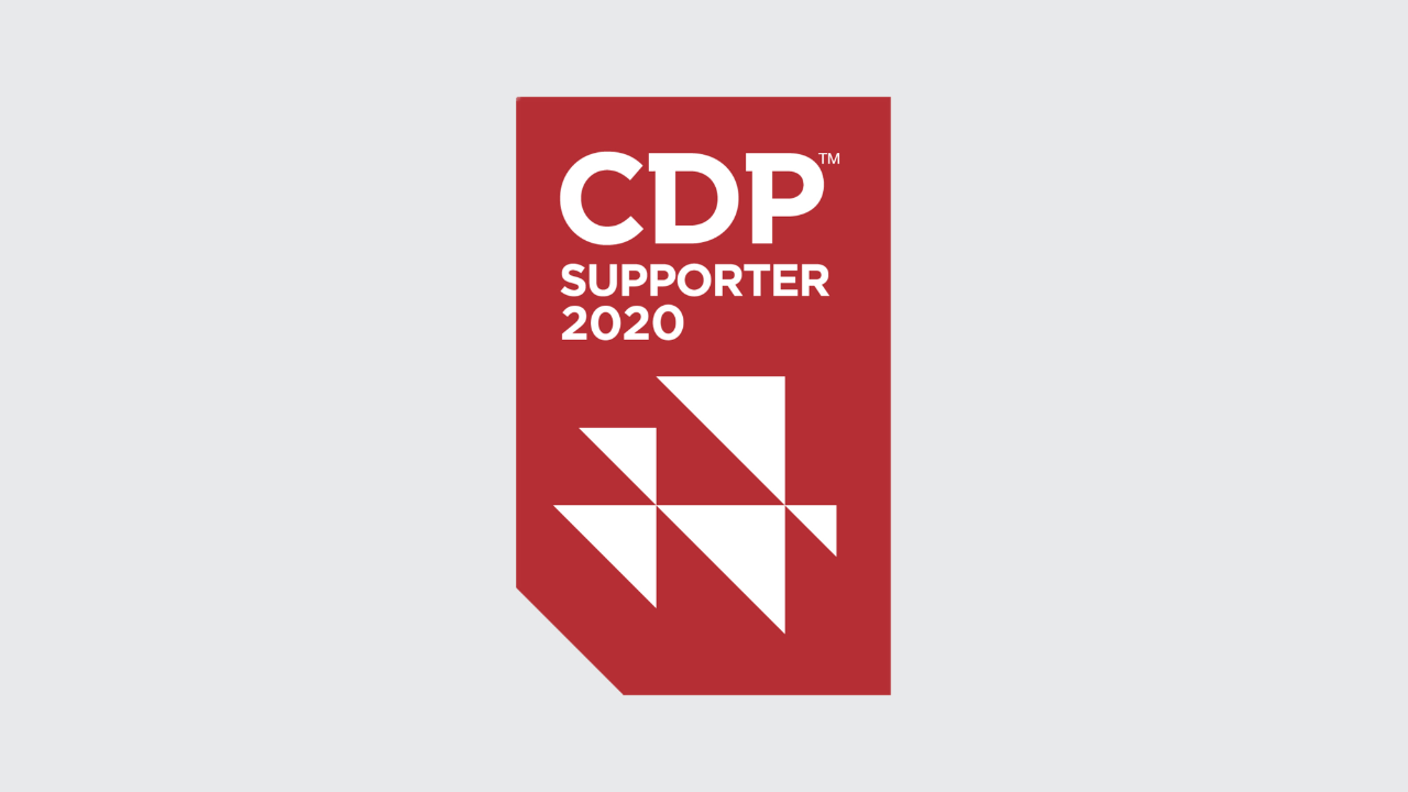 CDP – Logo