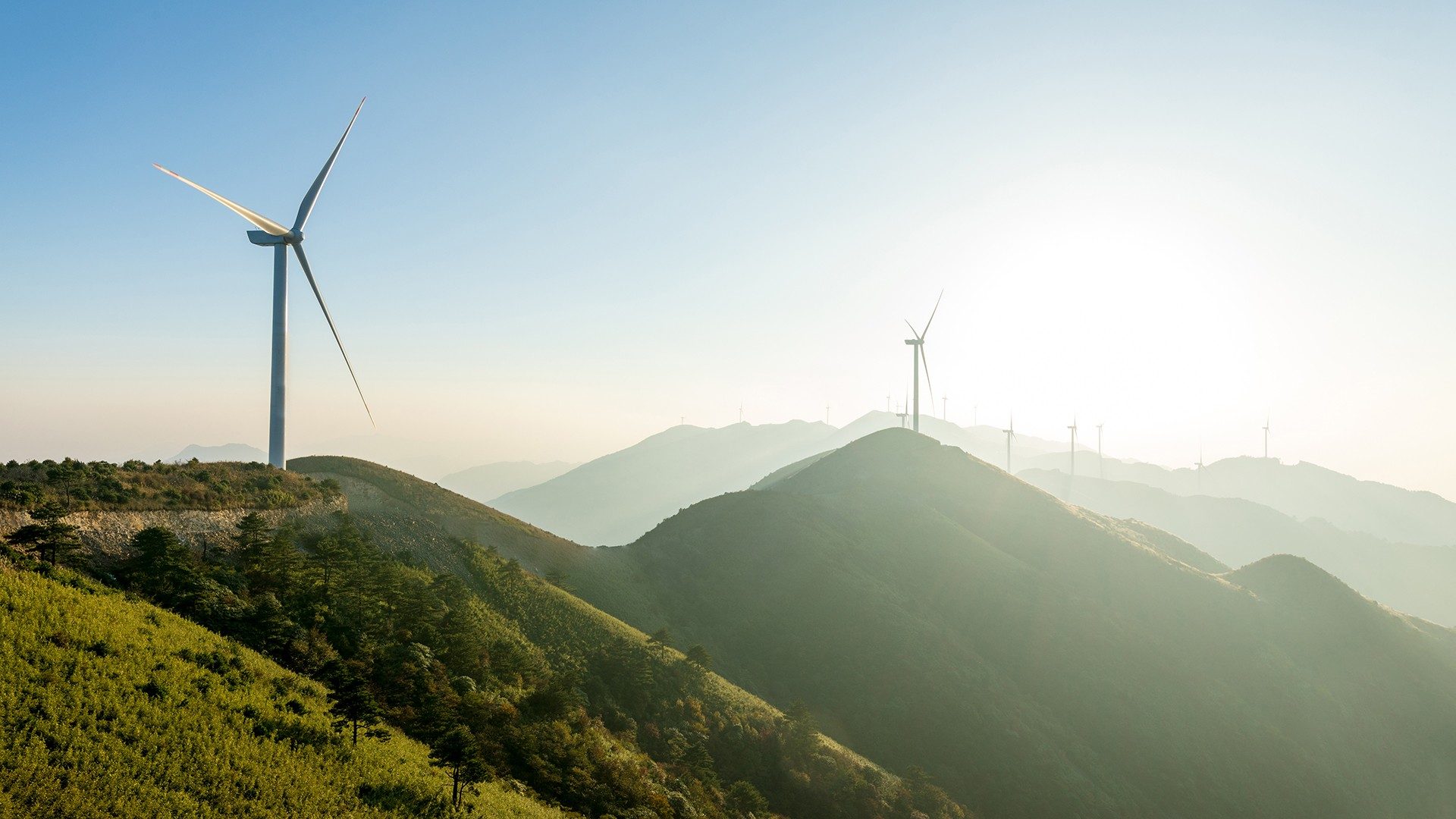 Responsible Investment