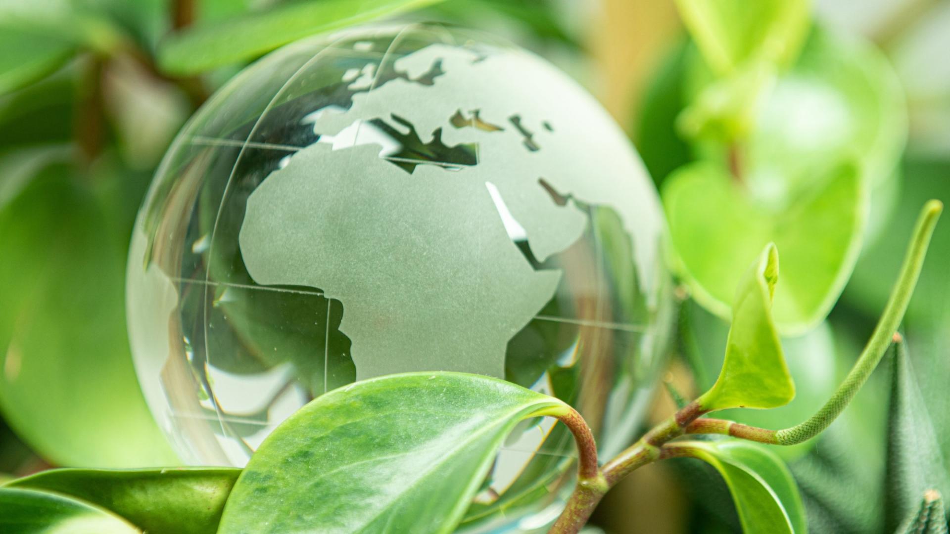 green earth concept glass sphere