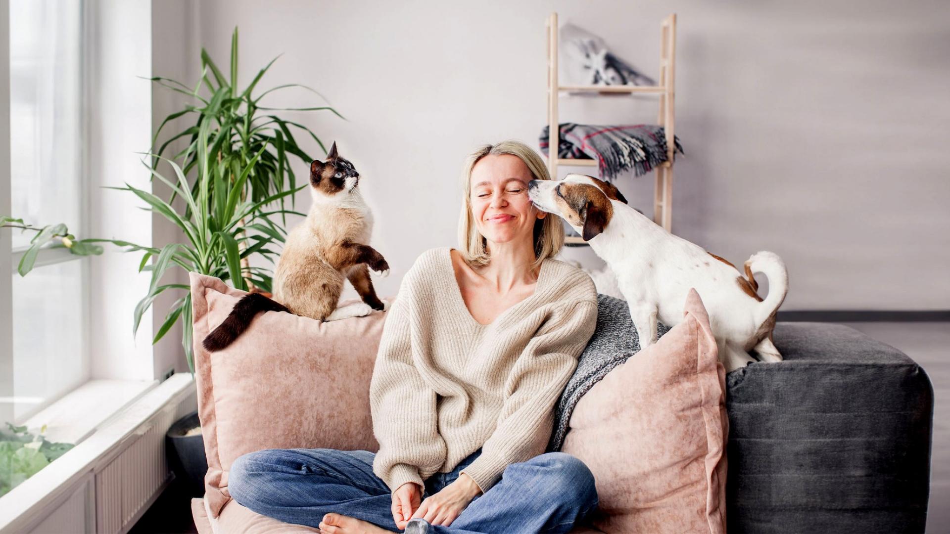 Eine Frau sitzt zwischen einem Hund und einer Katze