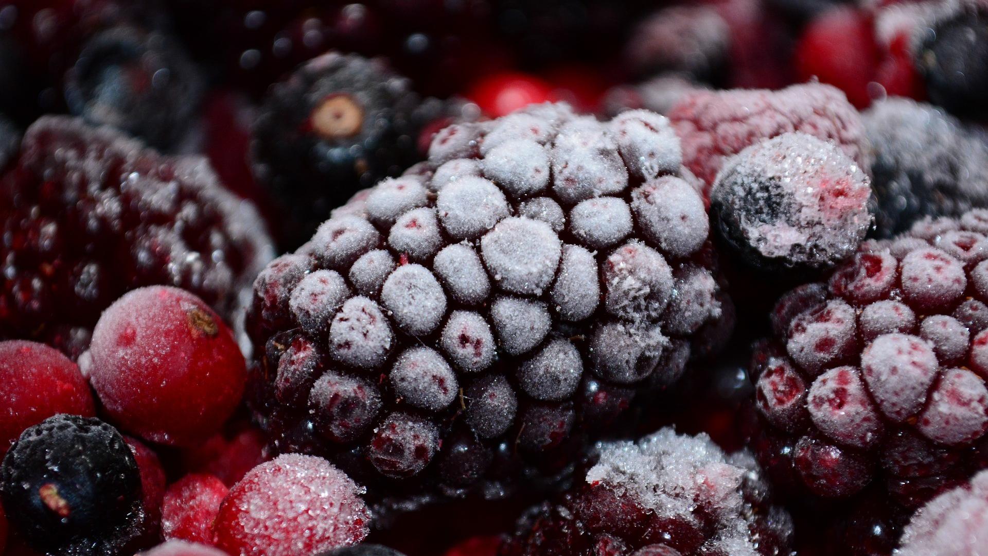 Zu sehen sind gefrorene Beeren.