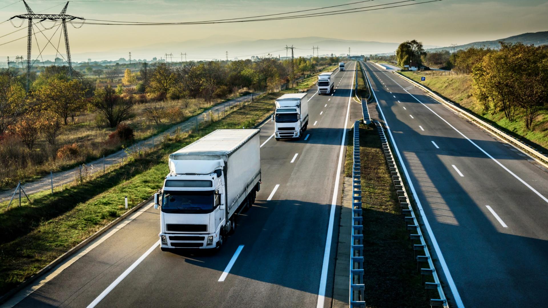 Zu sehen sind mehrere LKWs auf einer Autobahn.