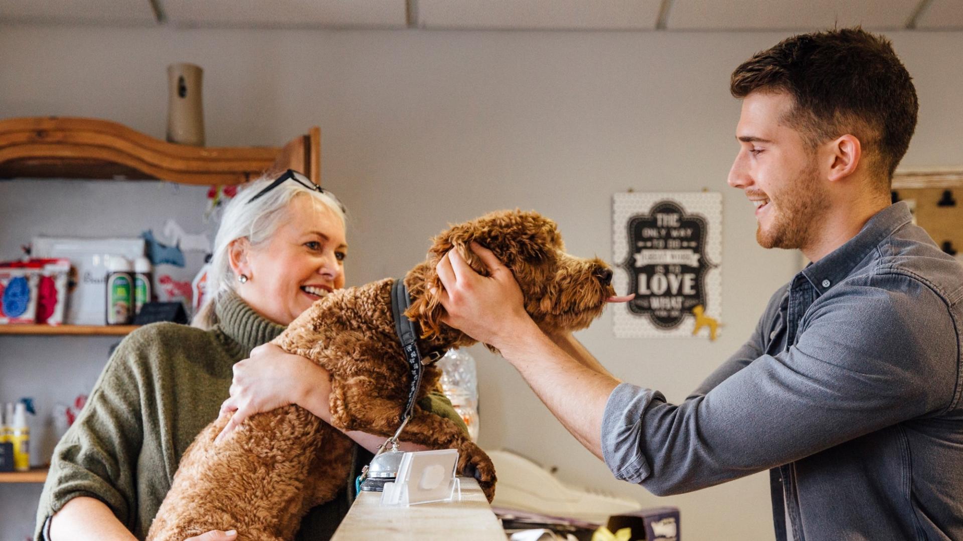 Ein Hund sitzt beim Tierarzt und wird von diesem begutachtet. Im Hintergrund ist seine Besitzerin zu sehen.