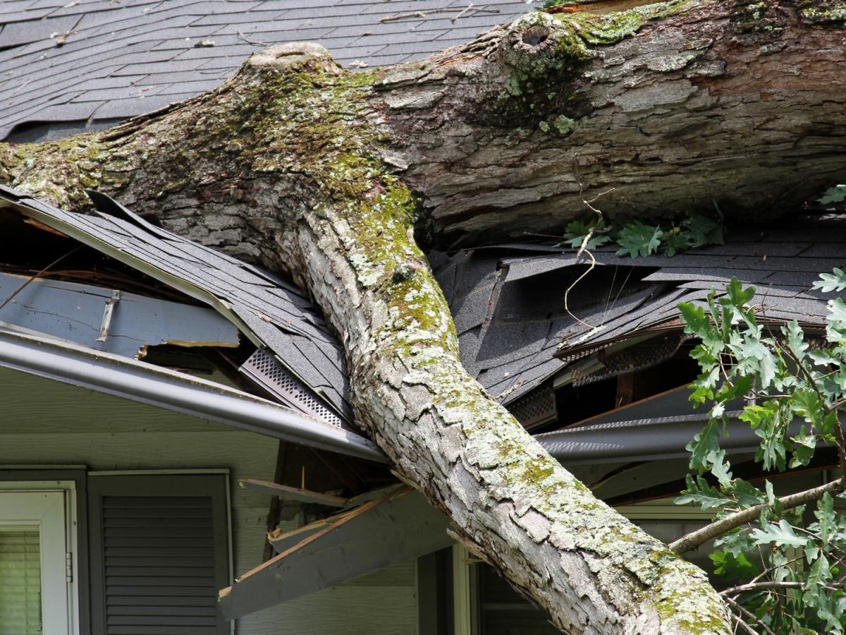 Ein Baum ist auf ein Haus gefallen und hat das Dach schwer beschädigt.