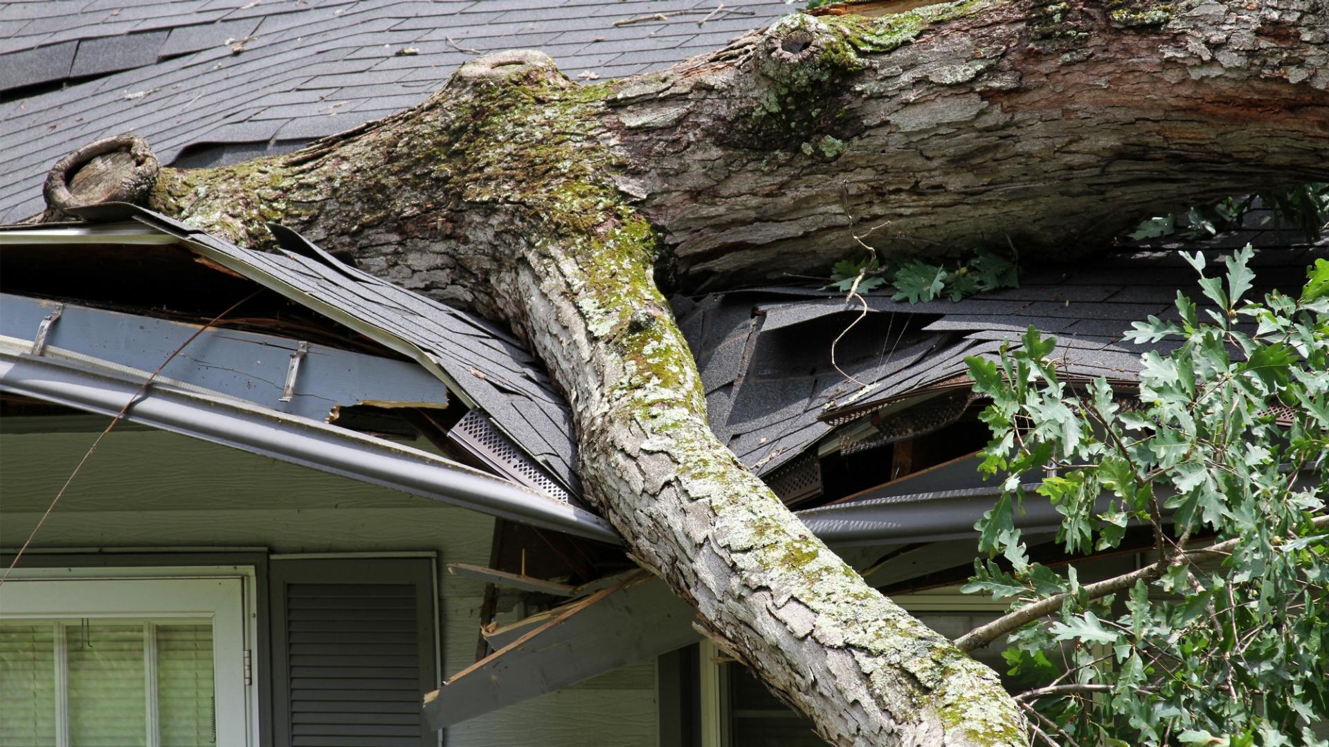 Ein Baum ist auf ein Haus gefallen und hat das Dach schwer beschädigt.