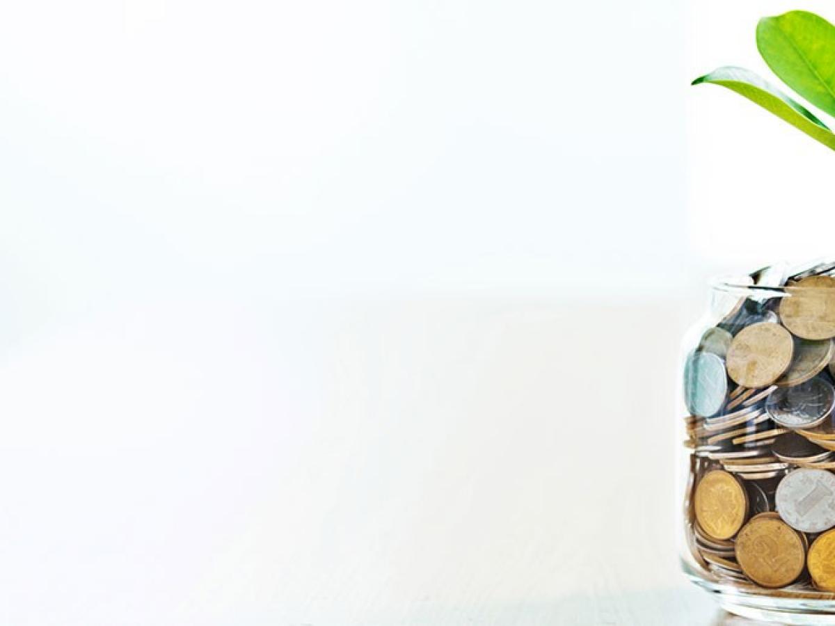 Ein Glas ist bis zum oberen Rand mit Geldmünzen gefüllt und aus dem Glas wächst eine Pflanze.