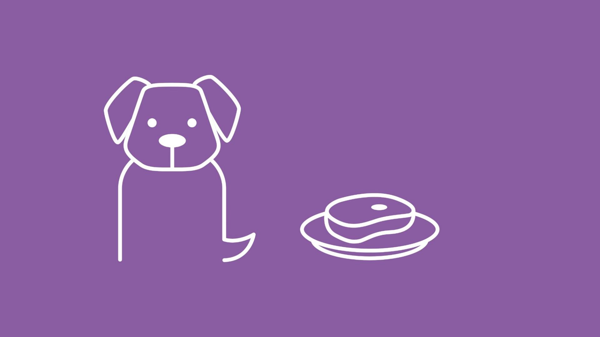 Die Grafik zeigt mittig einen Hund. Um ihn herum sind in Form von Icons verschiedene Futtermittel platziert: Fleisch, Fisch, Dosenfutter, Obst und Gemüse. 
